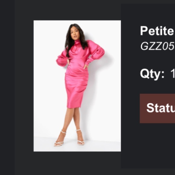 Elegant Pink Dress - Picture 4 of 4